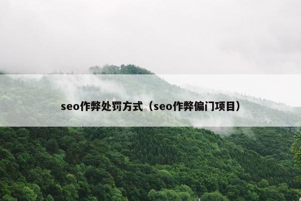 seo作弊处罚方式（seo作弊偏门项目）