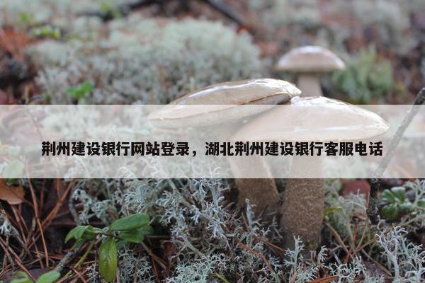 荆州建设银行网站登录，湖北荆州建设银行客服电话