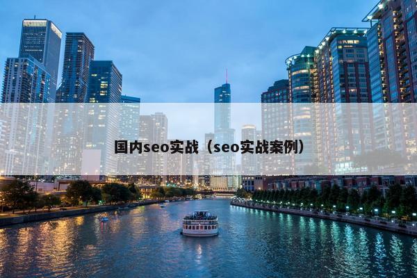 国内seo实战（seo实战案例）