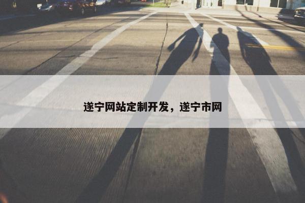 遂宁网站定制开发，遂宁市网