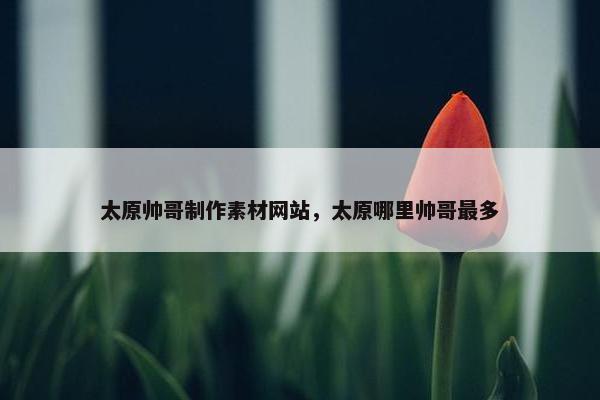 太原帅哥制作素材网站，太原哪里帅哥最多