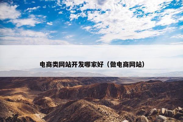 电商类网站开发哪家好（做电商网站）