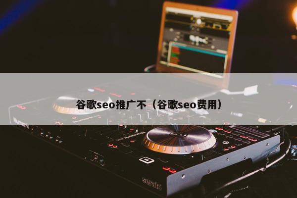 谷歌seo推广不（谷歌seo费用）