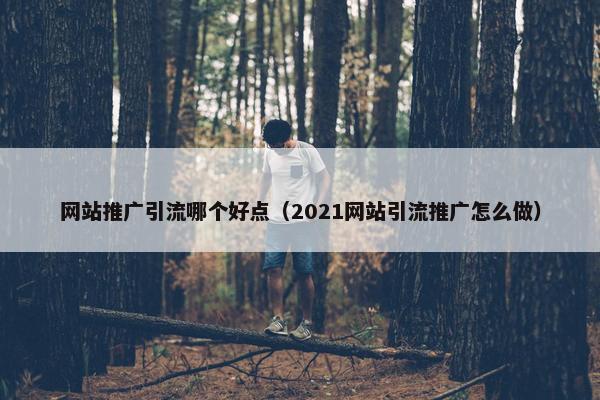 网站推广引流哪个好点（2021网站引流推广怎么做）