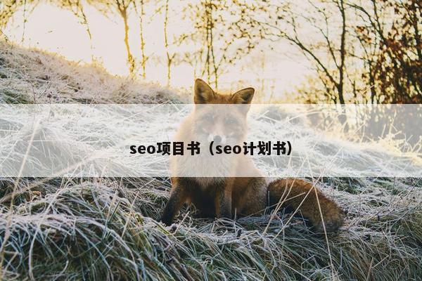 seo项目书（seo计划书）