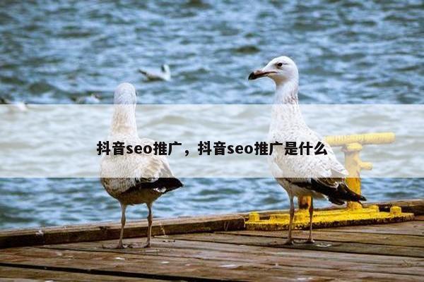 抖音seo推广，抖音seo推广是什么