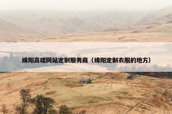 绵阳高端网站定制服务商（绵阳定制衣服的地方）