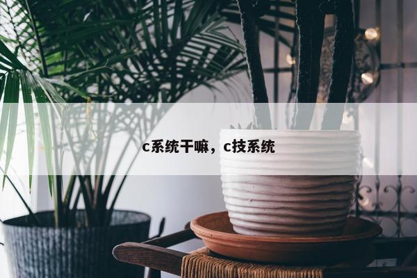 c系统干嘛，c技系统