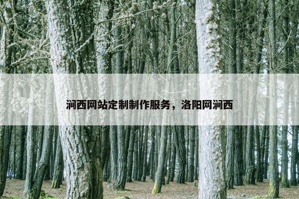 涧西网站定制制作服务，洛阳网涧西
