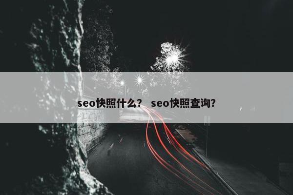 seo快照什么？ seo快照查询？