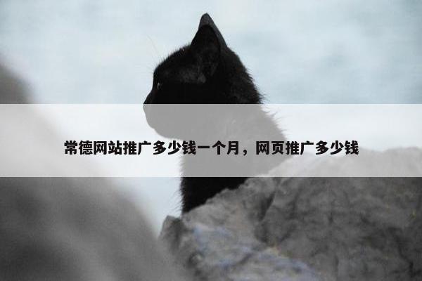 常德网站推广多少钱一个月，网页推广多少钱