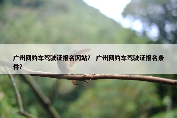 广州网约车驾驶证报名网站？ 广州网约车驾驶证报名条件？