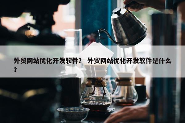 外贸网站优化开发软件？ 外贸网站优化开发软件是什么？