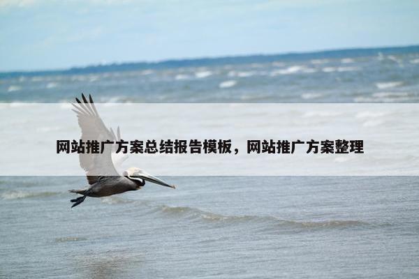 网站推广方案总结报告模板，网站推广方案整理