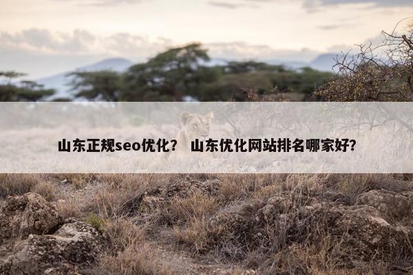 山东正规seo优化？ 山东优化网站排名哪家好？