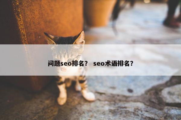 问题seo排名？ seo术语排名？