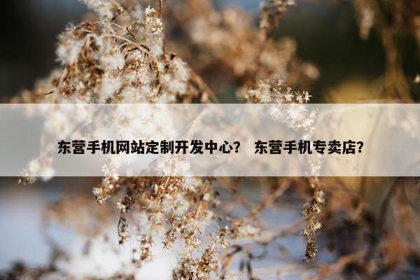 东营手机网站定制开发中心？ 东营手机专卖店？