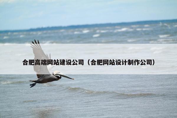 合肥高端网站建设公司（合肥网站设计制作公司）