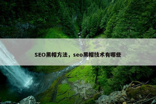 SEO黑帽方法，seo黑帽技术有哪些