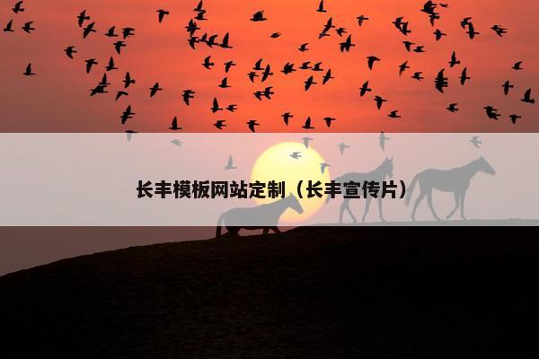 长丰模板网站定制（长丰宣传片）