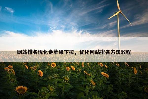 网站排名优化金苹果下拉，优化网站排名方法教程