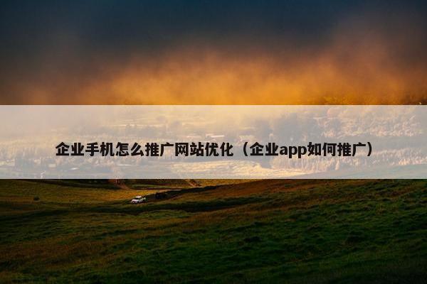 企业手机怎么推广网站优化（企业app如何推广）