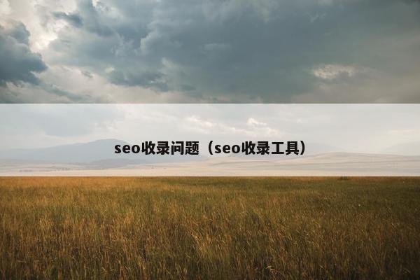 seo收录问题（seo收录工具）