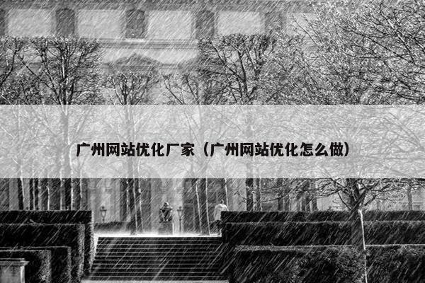 广州网站优化厂家（广州网站优化怎么做）