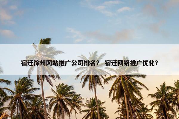 宿迁徐州网站推广公司排名？ 宿迁网络推广优化？