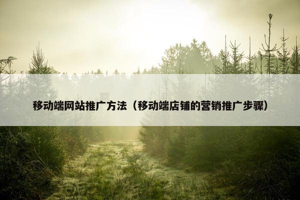 移动端网站推广方法（移动端店铺的营销推广步骤）
