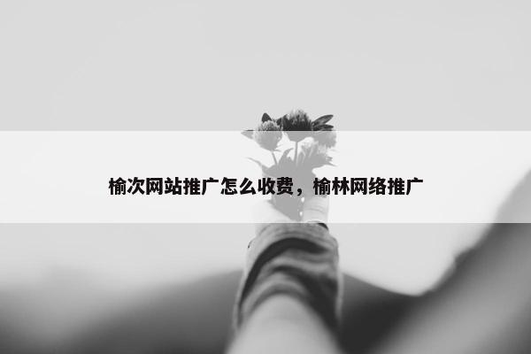 榆次网站推广怎么收费，榆林网络推广