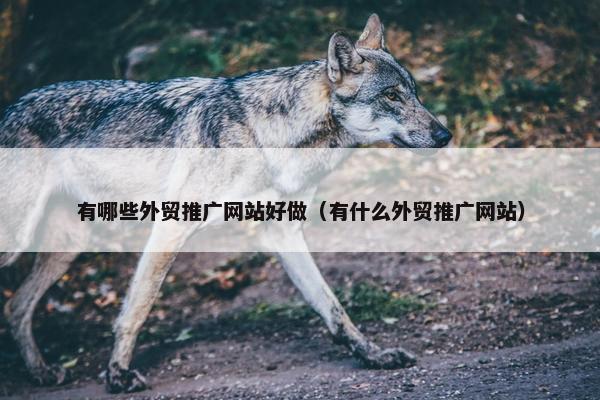 有哪些外贸推广网站好做（有什么外贸推广网站）