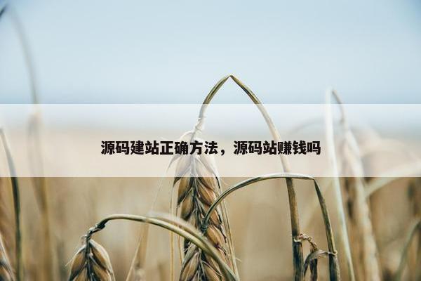 源码建站正确方法，源码站赚钱吗