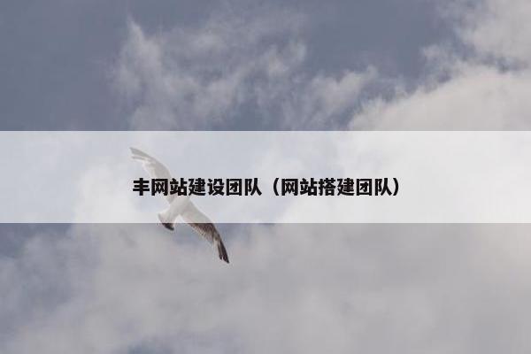 丰网站建设团队（网站搭建团队）