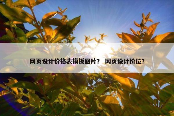 网页设计价格表模板图片？ 网页设计价位？