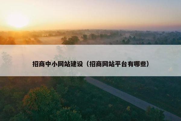 招商中小网站建设（招商网站平台有哪些）