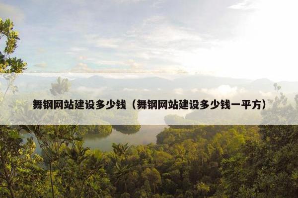 舞钢网站建设多少钱（舞钢网站建设多少钱一平方）