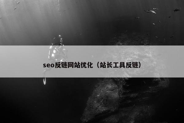seo反链网站优化（站长工具反链）