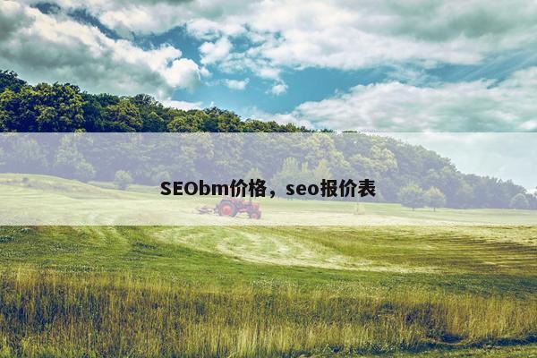 SEObm价格，seo报价表