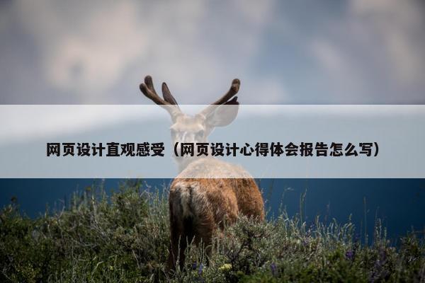 网页设计直观感受（网页设计心得体会报告怎么写）