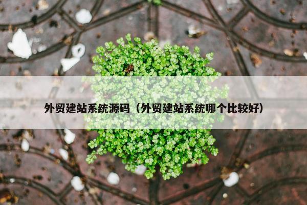 外贸建站系统源码（外贸建站系统哪个比较好）