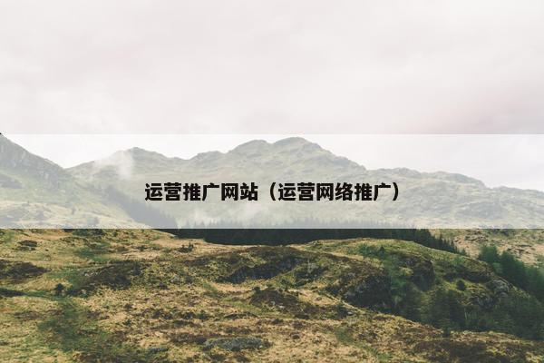 运营推广网站（运营网络推广）