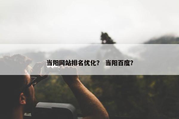当阳网站排名优化？ 当阳百度？