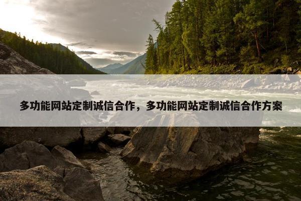 多功能网站定制诚信合作，多功能网站定制诚信合作方案