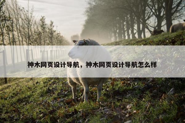 神木网页设计导航，神木网页设计导航怎么样