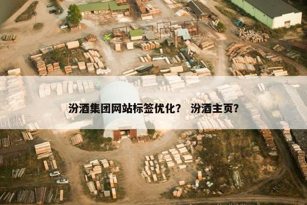 汾酒集团网站标签优化？ 汾酒主页？