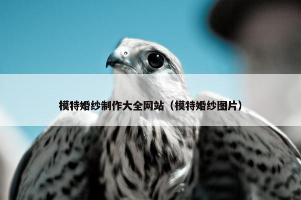 模特婚纱制作大全网站（模特婚纱图片）