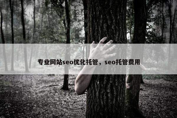 专业网站seo优化托管，seo托管费用