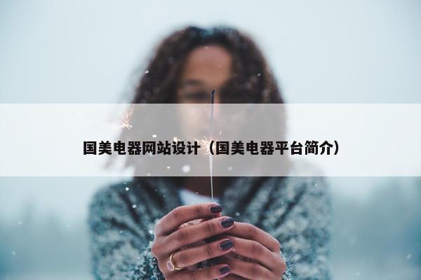 国美电器网站设计（国美电器平台简介）
