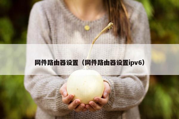 网件路由器设置（网件路由器设置ipv6）